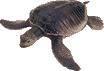 Choisir cette image comme modle de grille de point de croix